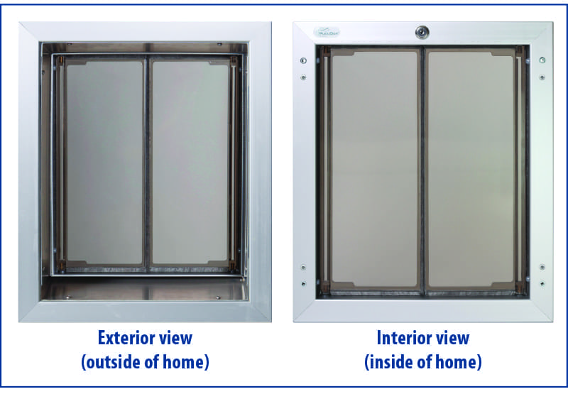 Dog Door For Wall Installation Blog PlexiDor Dog Doors